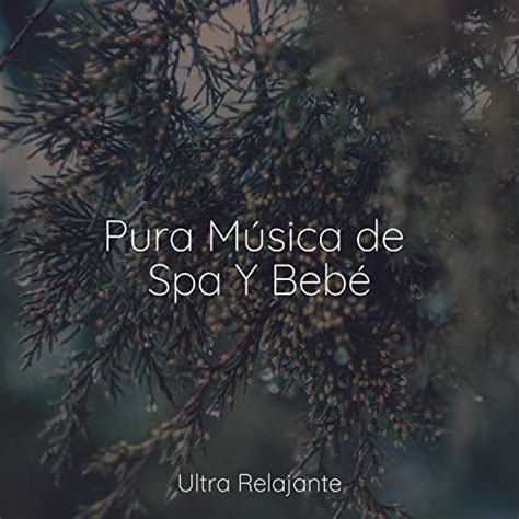 Amazon Music Sonido Del Bosque Y Naturaleza M Sica Ambiental