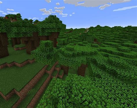 Dark Oak In Minecraft