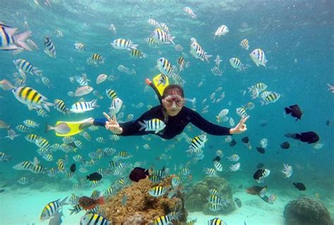 Menengok Pesona Bawah Laut Pulau Rubiah Sabang Aceh Indonesia Traveler