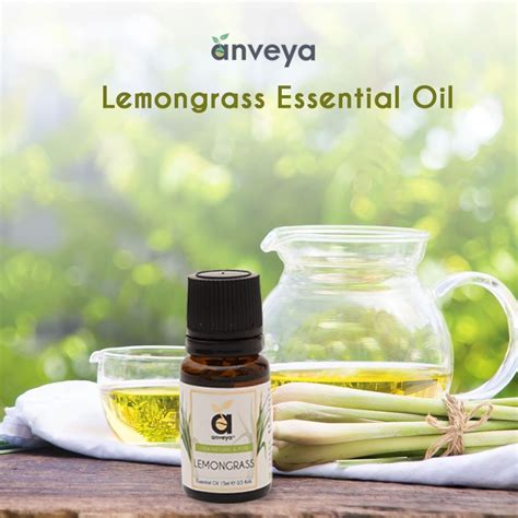 Lemongrass Essential Oil Has A Fresh Lemony And Earth Like Aroma And Is Known To Repel Insects