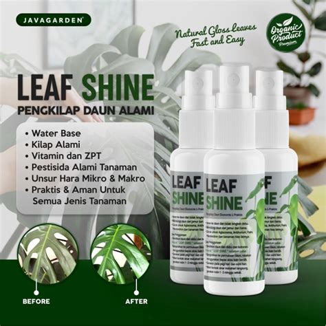 Jual Kilap Daun Semir Daun Leafshine Spray Kemasan Ekonomis Pengkilap