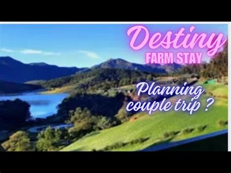 Discovering Best Resort In Ooty Destiny Farm Resort Avalanche