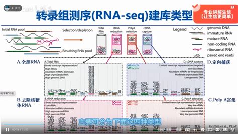 Rna Seq 测序技术、数据类型相关strna Seq Csdn博客