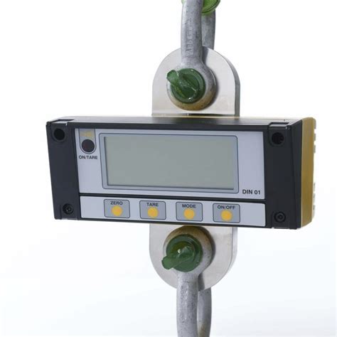 Crane Scale With LCD Display Digital Stainless Steel RITM Industry