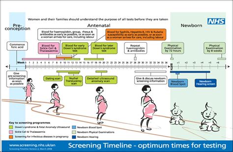 Antenatal And Newborn Screening General Practice Notebook