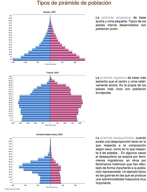 Tipos De Pir Mide De Poblaci N