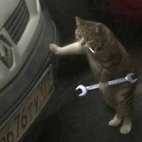 Create Meme Cat With A Wrench Cat Repairs Car The Cat Mechanic Meme