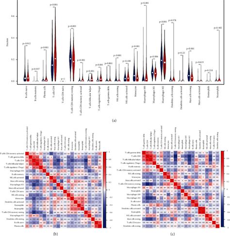 Development Of An Individualized Immune Prognostic Signature For Clear