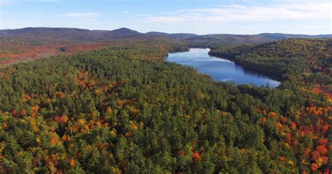 More Than 12000 Forest Acres Will Be Permanently Protected From