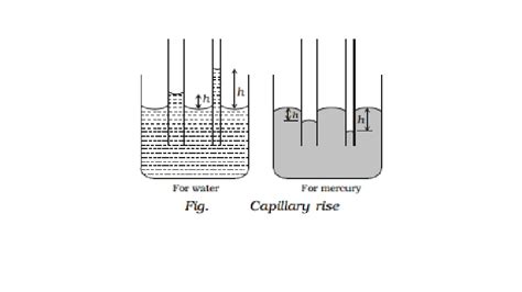 Capillarity and Illustrations of capillarity