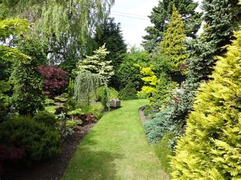 A Visit To David Ward S Garden Conifers Forum GardenWeb Coniferas