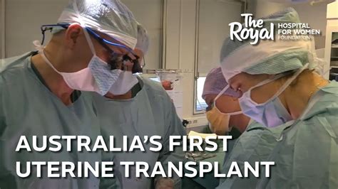 An Amazing T Uterine Transplants To Be Performed At The Royal Youtube