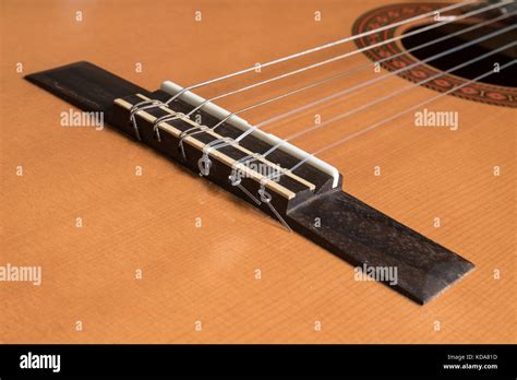 Acoustic Guitar Bridge Orientation Guitar