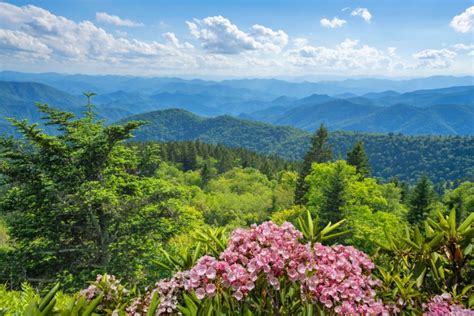 Top 4 Reasons Why Families Love Spending Spring Break In The Smoky