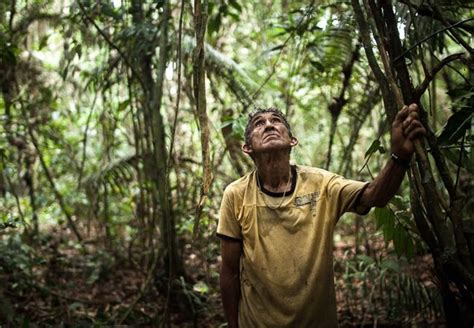 Desmatamento é 66 menor em Terras Indígenas na Amazônia