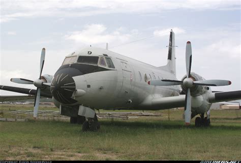 Hawker Siddeley HS-748 Srs2/268 - Australia - Navy | Aviation Photo ...