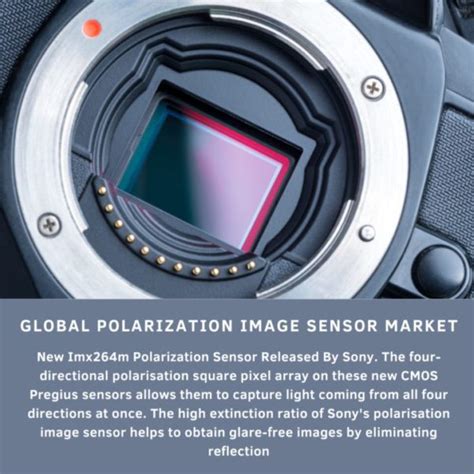 Global Polarization Image Sensor Market 2024 2030