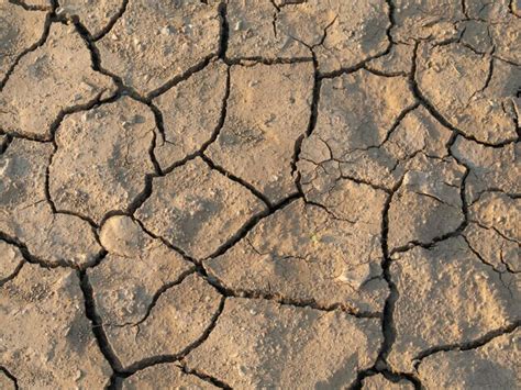 Fotografía de cerca patrón de desastre natural de suelo agrietado o