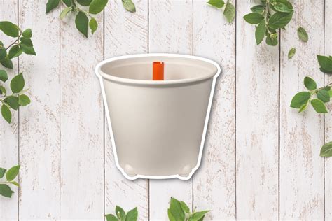 Self Watering Pots Good For You And Your Plants