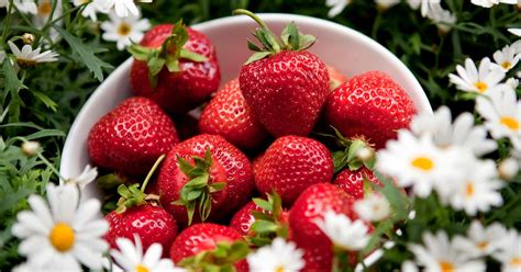 Ont Om Lokala Gubbar Till Midsommar SVT Nyheter