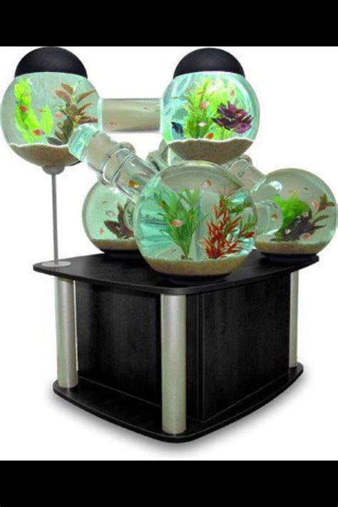 Cool Fish Tanks Fish Tank Modern Fish Tank