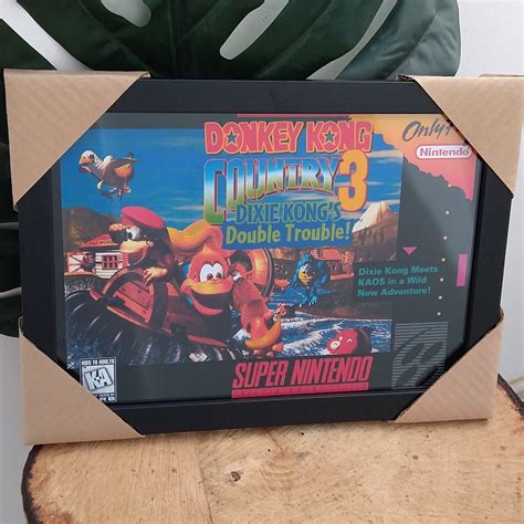 Quadro Decorativo Moldura E Vidro Donkey Kong Country 3 Super