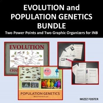 Evolution And Population Genetics 2 Ppts And 2 Graphic Organizers Notes