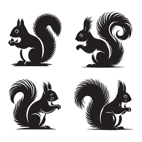 Squirrel Vectors Silhouette 46436132 Vector Art At Vecteezy