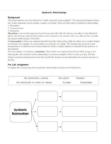 Symbiotic Relationship - Examples, Format, How to Identify, PDF