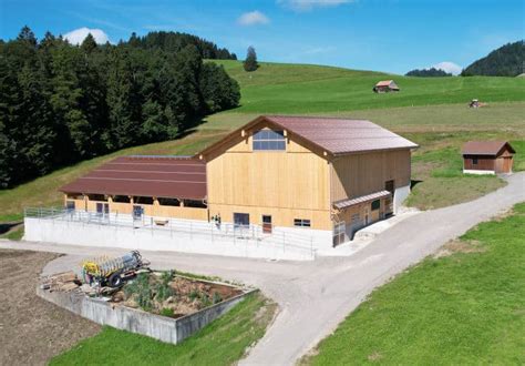 Neubau Boxenlaufstall Mit Heuraum In Walde SG Artho AG Schreinerei