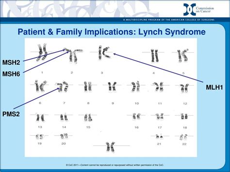 Ppt Egapp Recommendations For Lynch Syndrome Genetic Testing Impact