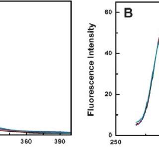 Synchronous Fluorescence Spectra Of Cat In The Absence And Presence Of