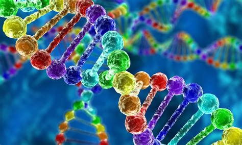 All About Genetics! (Course 1 of All About Genetics Series) | Small Online Class for Ages 10-14 ...