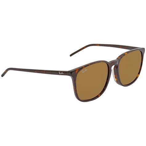 Ray Ban Rb4387f Brown Classic Sunglasses Men S Sunglasses Rb4387f 902 73 55 8053672990775