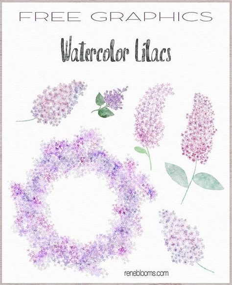 Free Watercolor Clipart At Paintingvalley Explore Collection Of