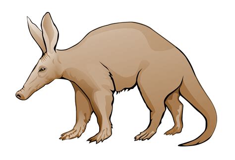 Aardvark Clipart Png Clip Art Library