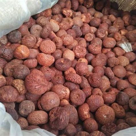 Dried B1 Type Boiled Red Areca Nutbetel Nut For Gutkha Making Pack