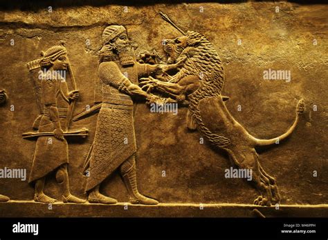 Assyrian Reliefs Lion