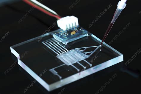 Lab on a chip - Stock Image - F021/3982 - Science Photo Library