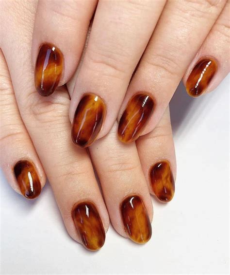 Amber Nail Design Official Shop Americanprime Br