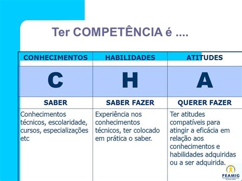 Cha Competencias Habilidades E Atitudes Librain