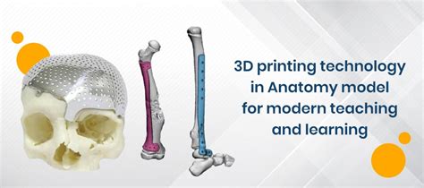 D Printing Technology In Anatomy Model For Modern Teaching And