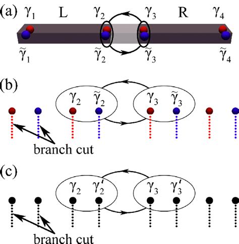 Non Abelian Statistics In DIII Class 1D Topological Superconductor A