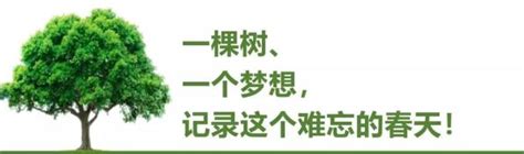 【妇联在行动 】植树添绿 拥抱春天—— 2023年义务植树活动倡议书澎湃号·政务澎湃新闻 The Paper