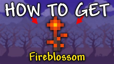 How To Get Fireblossom In Terraria Fireblossom Terraria Youtube