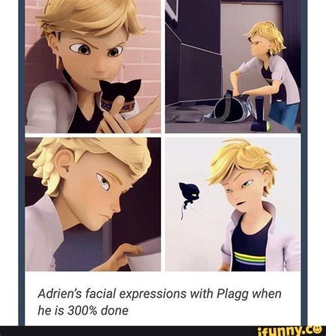 Miraculous Ladybug Memes Meme 8 Miraculous Ladybug Memes