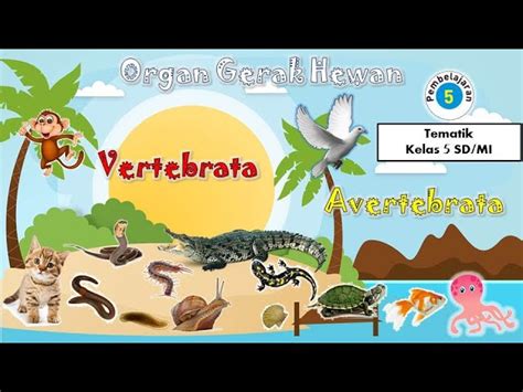 Detail Contoh Hewan Vertebrata Dan Avertebrata Koleksi Nomer