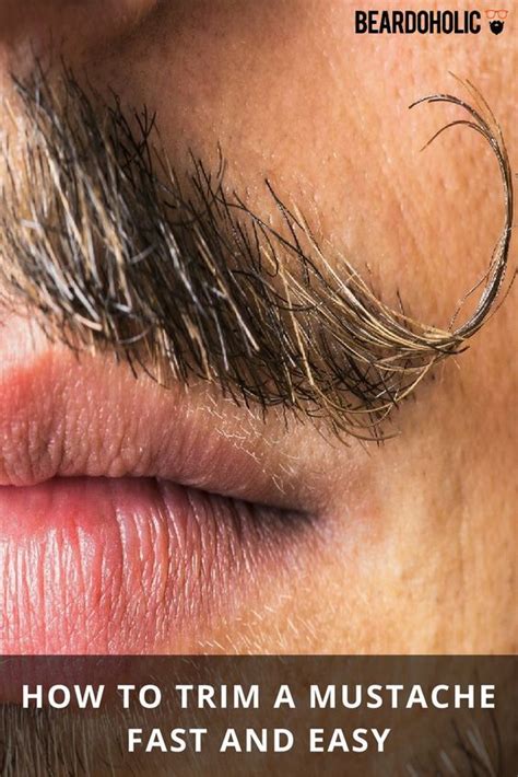 5 Simple Steps On How To Trim Mustache Quickly Expert Tips How To Trim Mustache Mustache