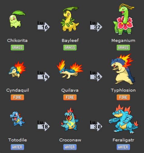 Pokemon Heart Gold Starters