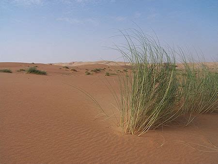 Désert Désert Amatlich Adrar Mauritanie Routard